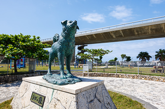 阿嘉島